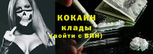шишки Володарск