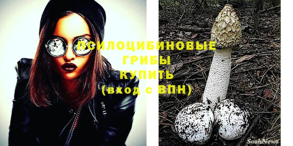 шишки Володарск