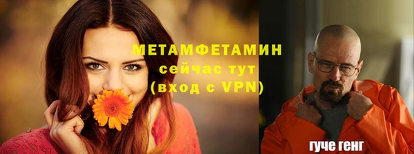 шишки Володарск