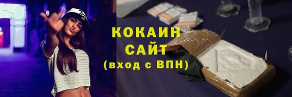 шишки Володарск